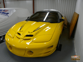 Miami Muscle - 2002 Trans Am