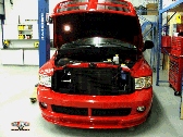 Miami Muscle - 2004 Dodge Ram SRT10