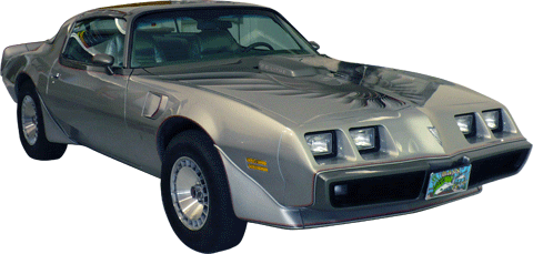 Miami Muscle - 1979 Pontiac TRANS AM