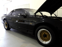 Miami Muscle - 1989 Trans Am GTA